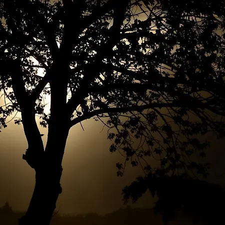 Terme E Assolatina Celle sul Rigo